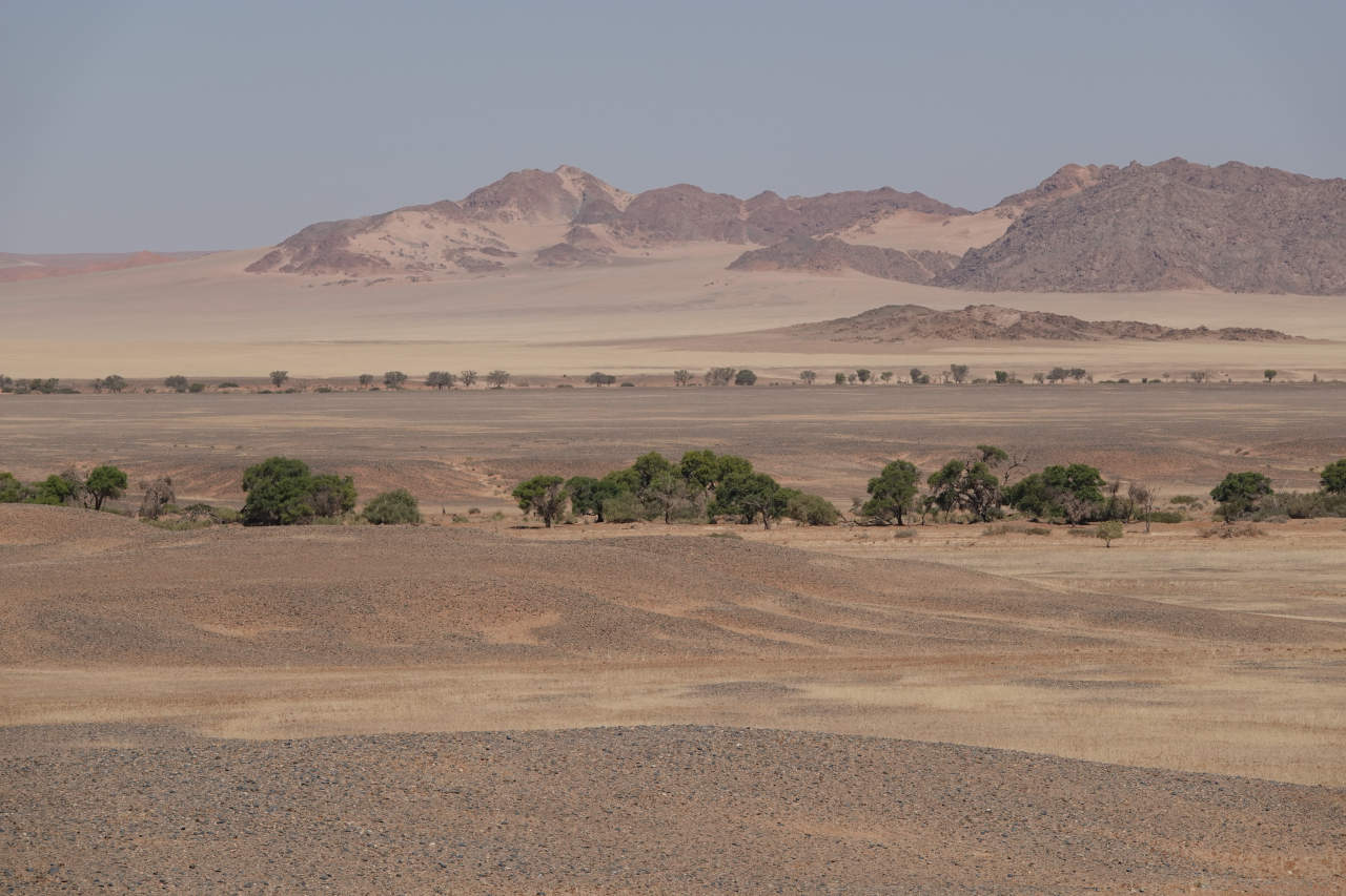 Namib Desert near Sossus Vlei