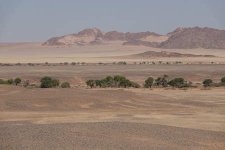 Namib Desert near Sossus Vlei